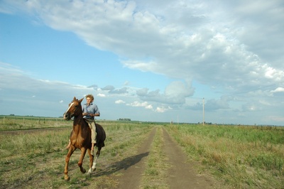 脸红的夏日剧照的剧照