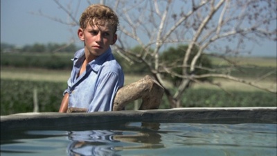 脸红的夏日剧照的剧照