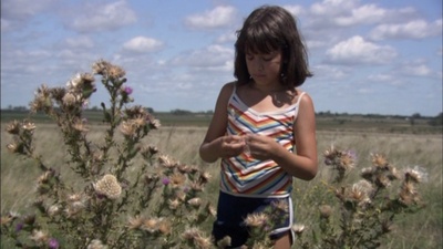 脸红的夏日剧照的剧照