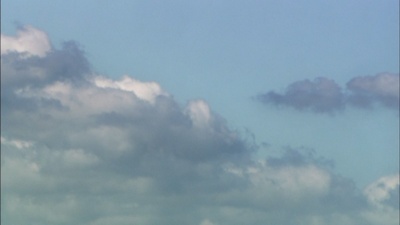 脸红的夏日剧照的剧照