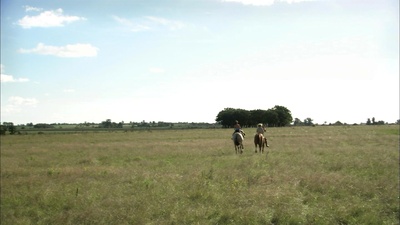 脸红的夏日剧照的剧照
