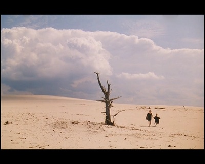 候鸟剧照的剧照