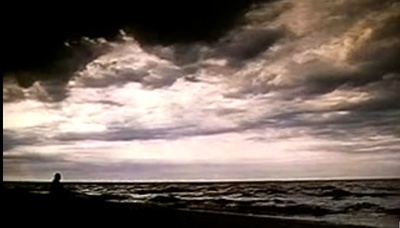 候鸟剧照的剧照