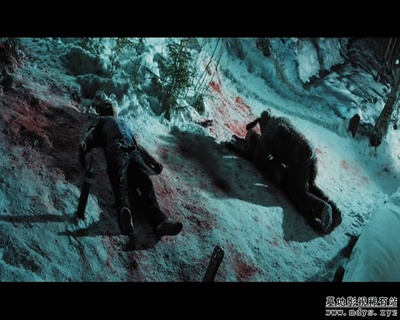 鸡巴兔杀手剧照的剧照