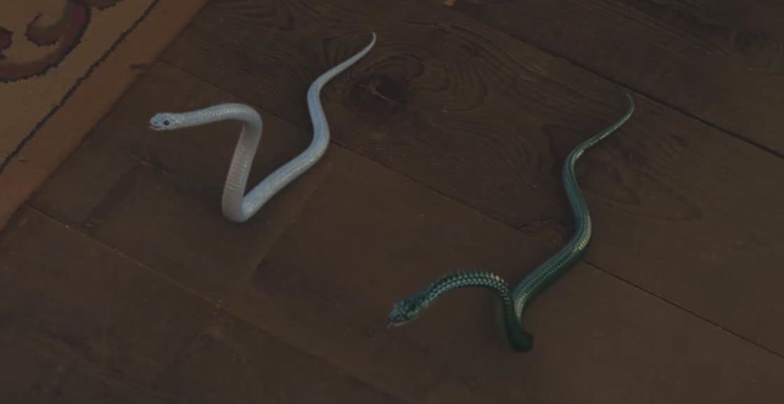 缉妖法海传剧照的剧照