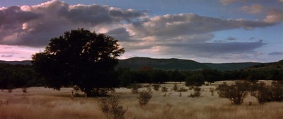 黄飞鸿之西域雄狮剧照的剧照