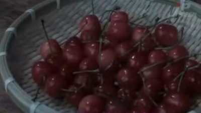 樱桃派剧照的剧照