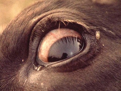 自己去看剧照的剧照