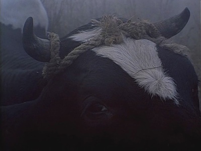 自己去看剧照的剧照