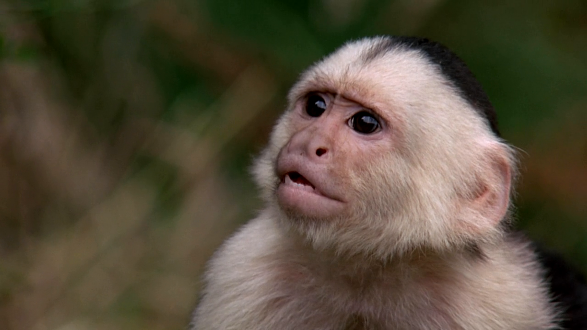 极度恐慌剧照的剧照