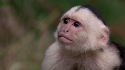 极度恐慌剧照的剧照