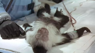 极度恐慌剧照的剧照