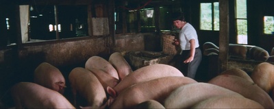 肥龙过江剧照的剧照