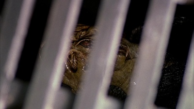 变种DNA 3：哨兵剧照的剧照