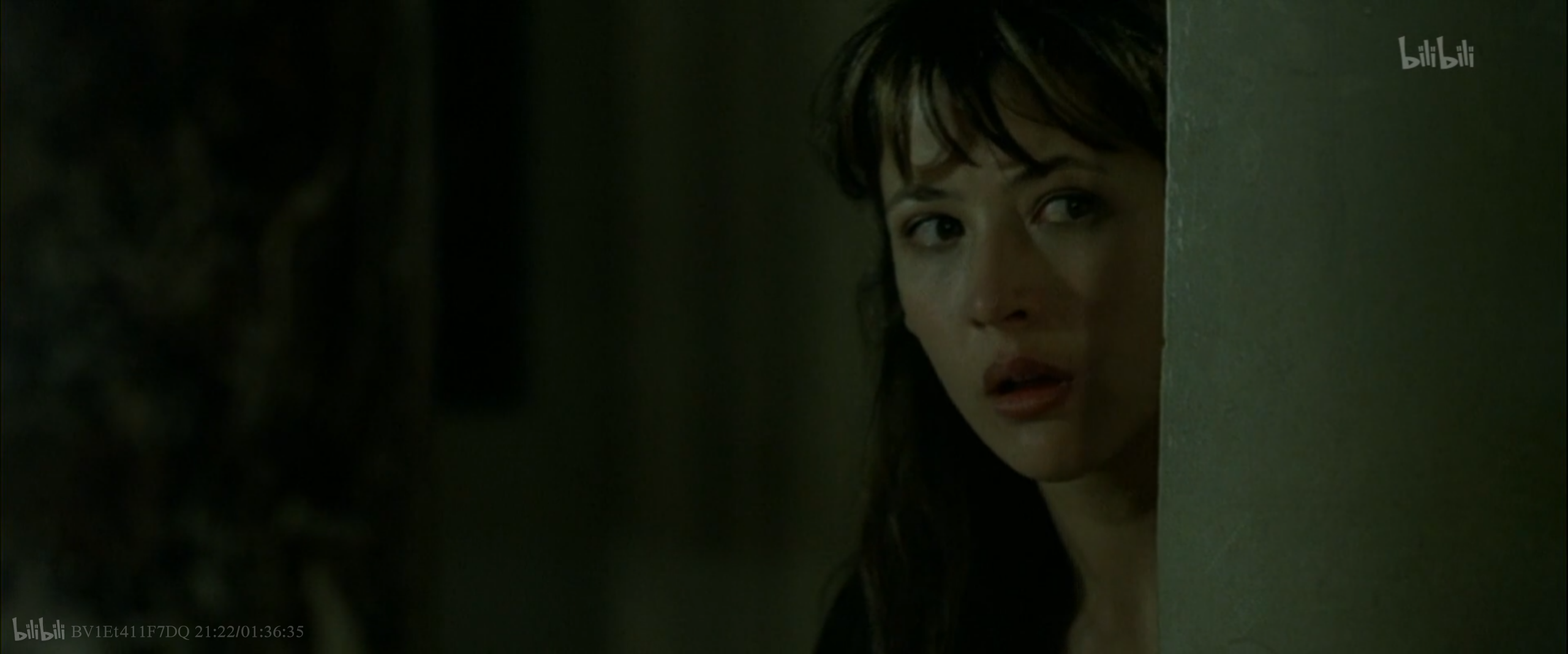 卢浮魅影剧照的剧照