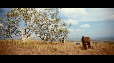 玛琳娜的杀戮四段式剧照的剧照