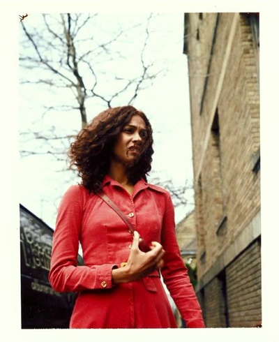 永远的北极熊剧照的剧照