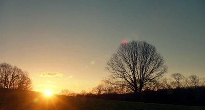 永远的北极熊剧照的剧照