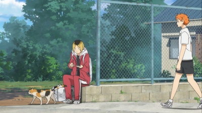 排球少年剧场版：结束与开始剧照的剧照