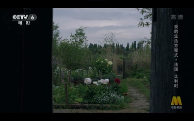 助产士剧照的剧照