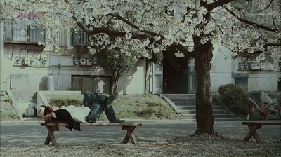 春天花盛开剧照的剧照