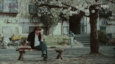 春天花盛开剧照的剧照