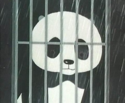 熊猫的故事剧照的剧照