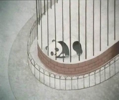 熊猫的故事剧照的剧照