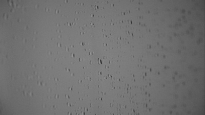 索拉里斯剧照的剧照