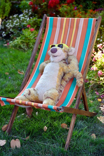 克里斯托弗·罗宾剧照的剧照