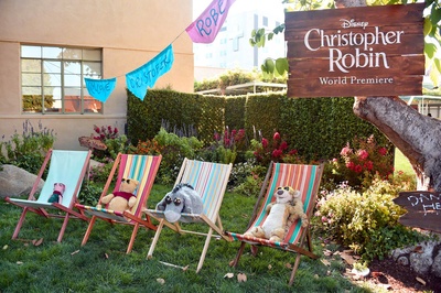 克里斯托弗·罗宾剧照的剧照