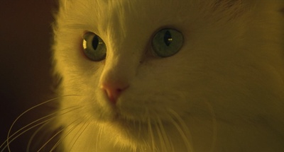 乌鸦 2：天使之城剧照的剧照