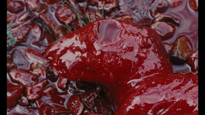 周末剧照的剧照