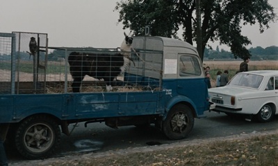 周末剧照的剧照