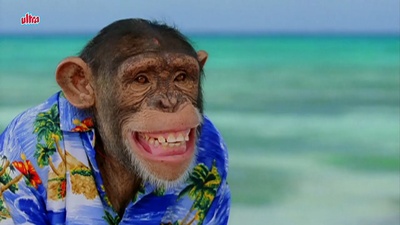 金刚归来剧照的剧照