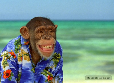 金刚归来剧照的剧照