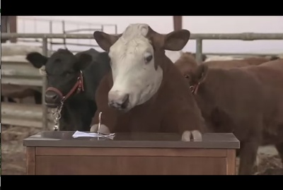 自闭历程剧照的剧照