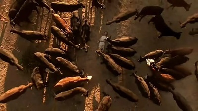 自闭历程剧照的剧照