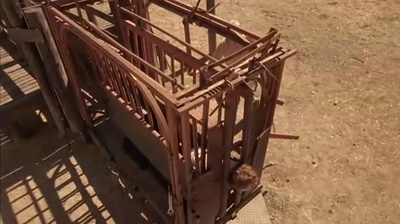 自闭历程剧照的剧照