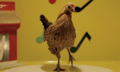 史楚锡流浪记剧照的剧照