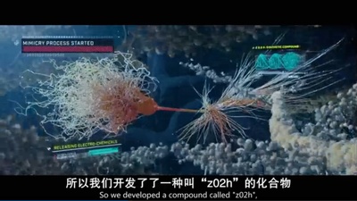 穿越剧照的剧照