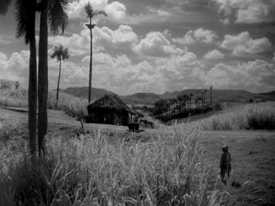 我是古巴剧照的剧照