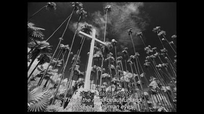 我是古巴剧照的剧照