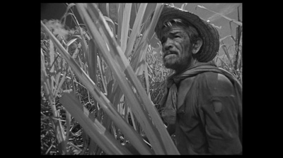 我是古巴剧照的剧照