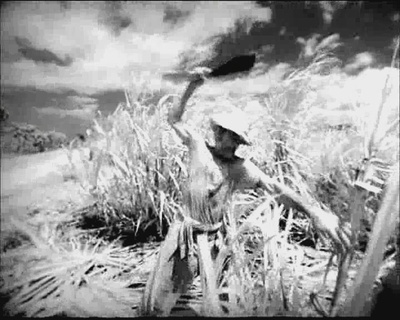 我是古巴剧照的剧照