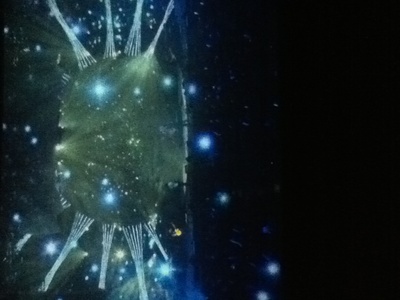 五月天追梦剧照的剧照