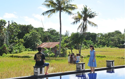 神在巴厘岛剧照的剧照