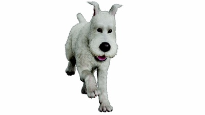 丁丁历险记剧照的剧照