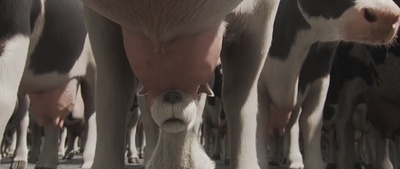 丁丁历险记剧照的剧照