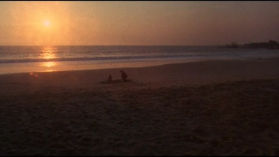 老人与猫剧照的剧照